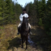 Trail rides are good for young horses.