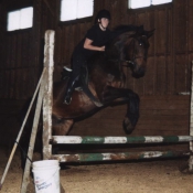 Teaching a young horse to jump.