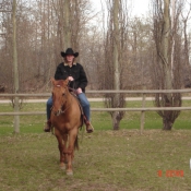 Great fun with an older cow pony.
