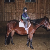 Young rider on a great lesson horse.