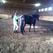 Body-tied at a workshop and the horse does not move.