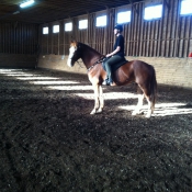 End of workshop, happy horse – happy rider.