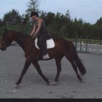 Figaro CB August 2004